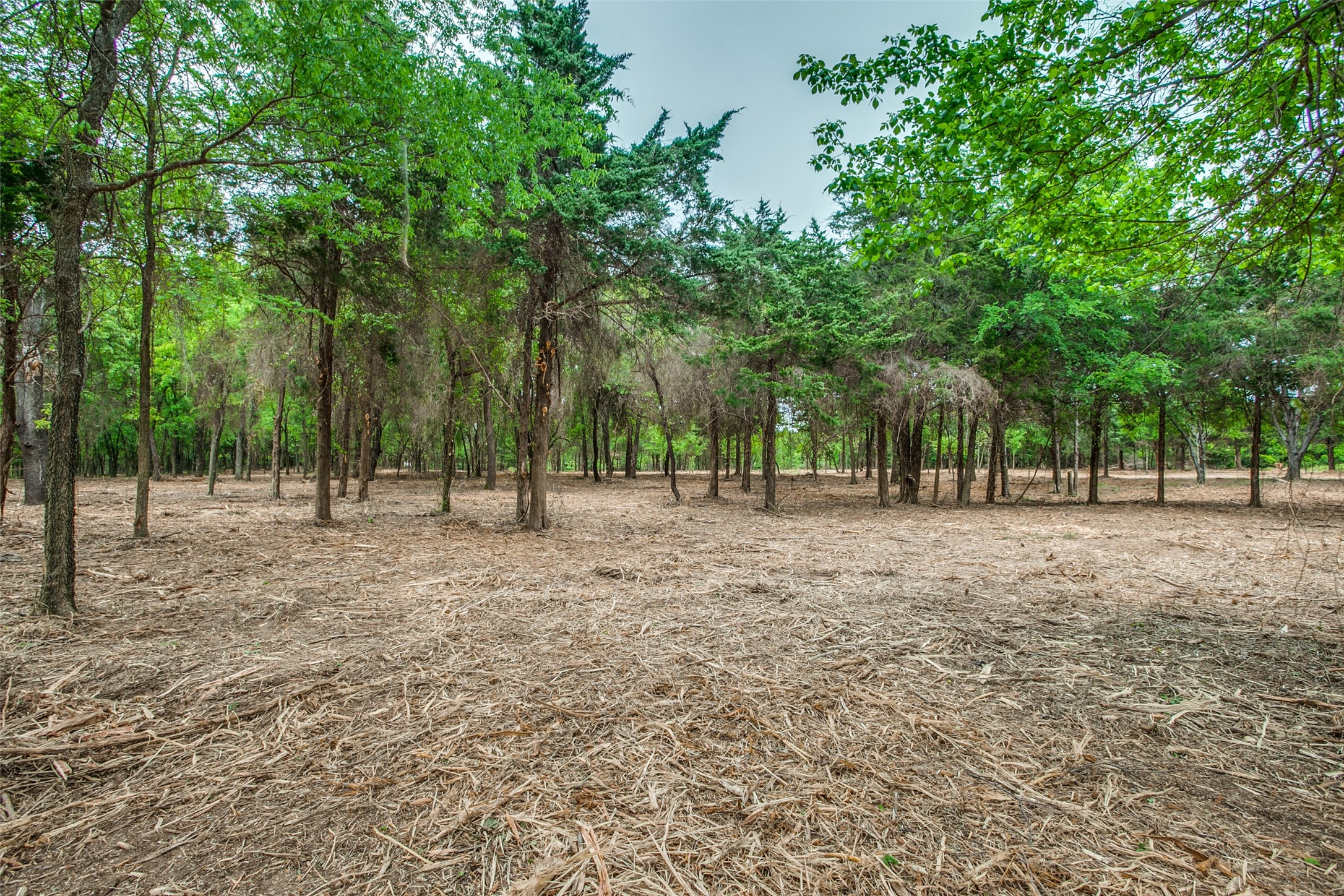 Tbd E Farm To Market 455 Pilot Point TX 76258
