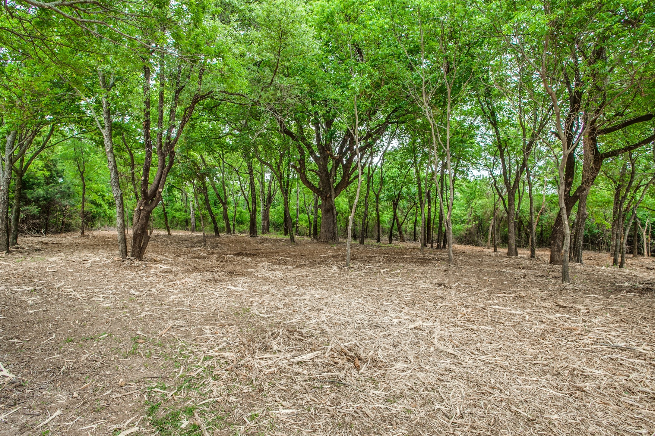 Tbd E Farm To Market 455 Pilot Point TX 76258