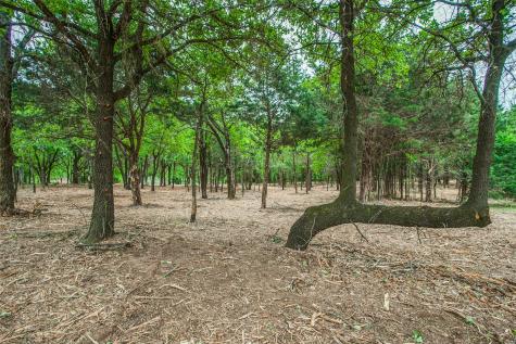 Tbd E Farm To Market 455 Pilot Point TX 76258