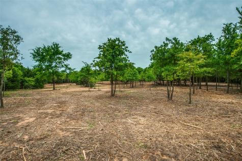 Tbd E Farm To Market 455 Pilot Point TX 76258