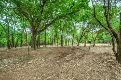 Tbd E Farm To Market 455 Pilot Point TX 76258