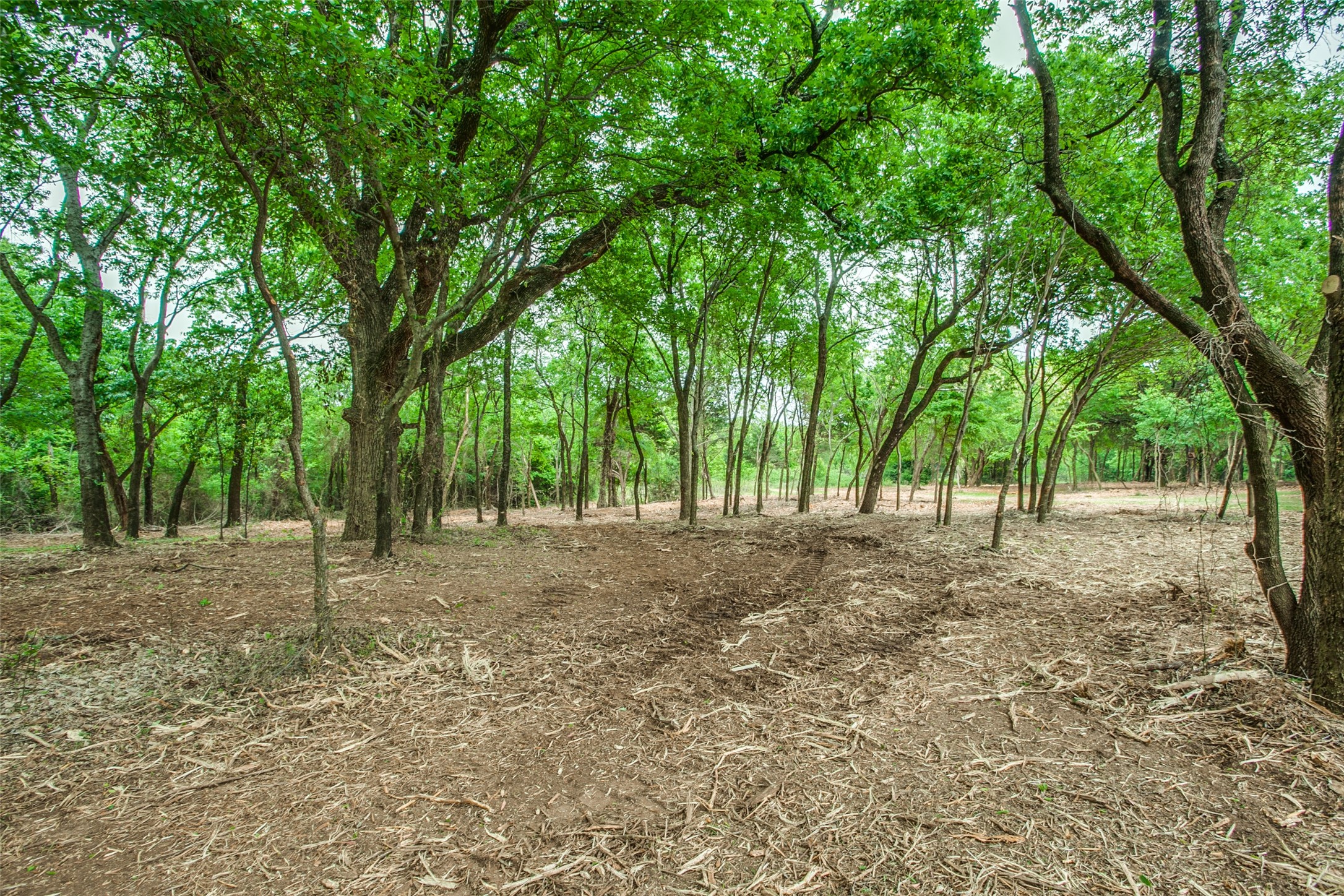 Tbd E Farm To Market 455 Pilot Point TX 76258