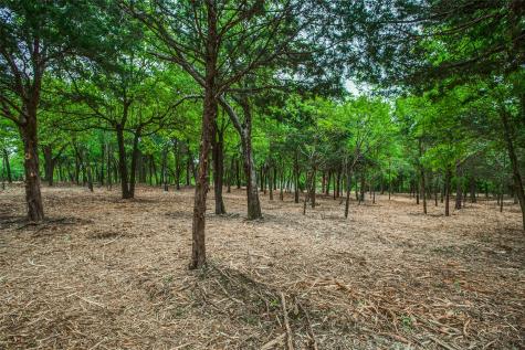 Tbd E Farm To Market 455 Pilot Point TX 76258