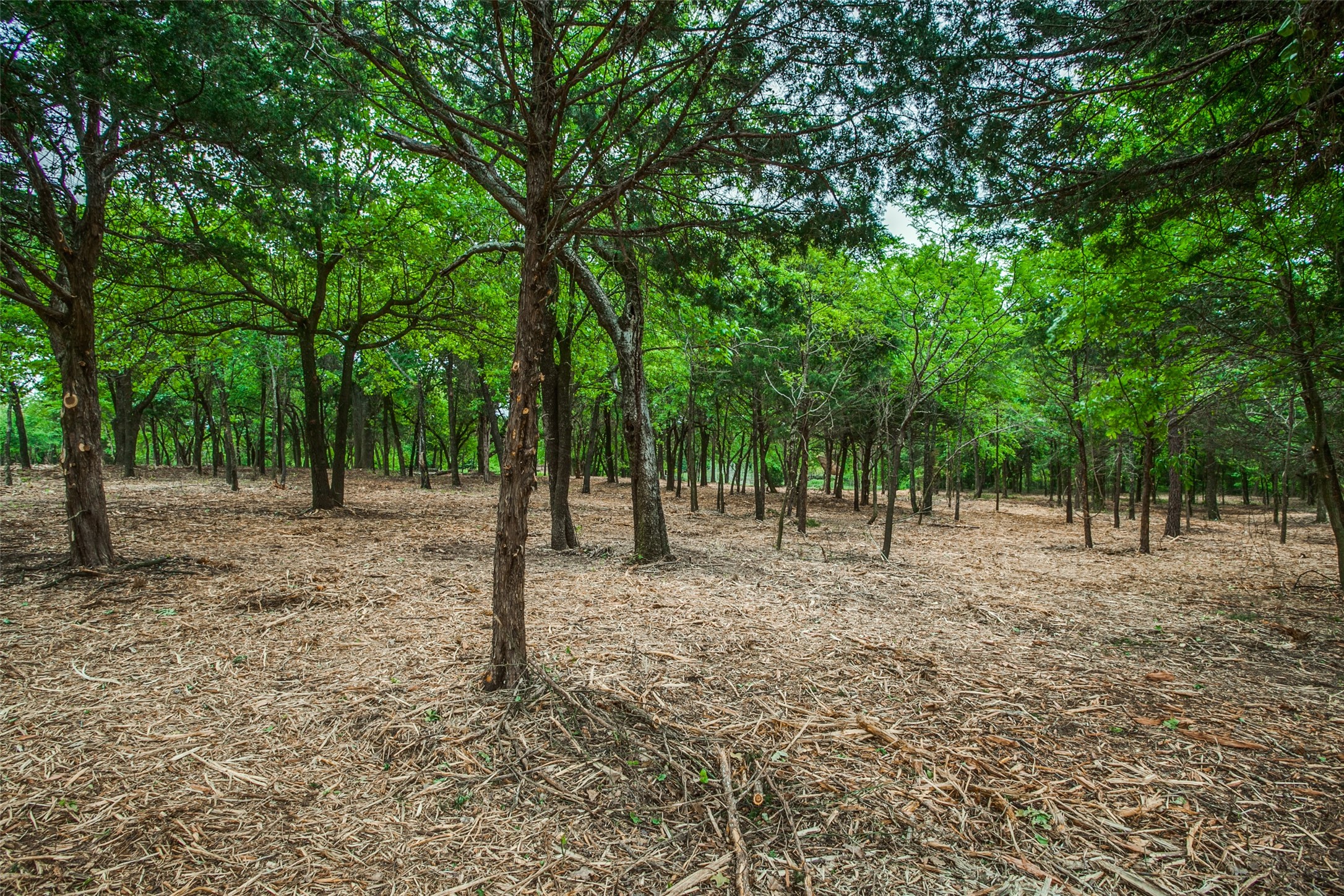Tbd E Farm To Market 455 Pilot Point TX 76258