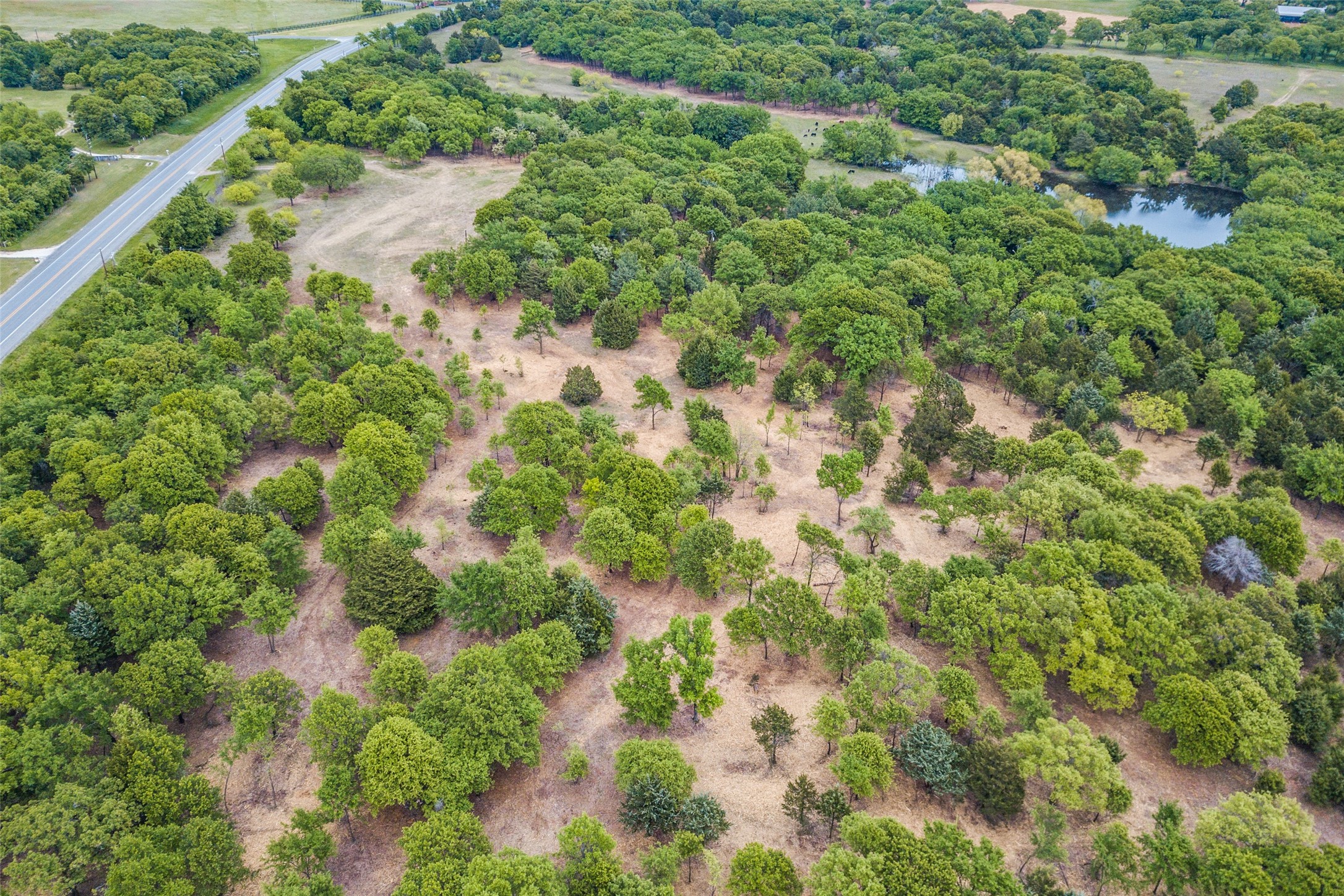 Tbd E Farm To Market 455 Pilot Point TX 76258