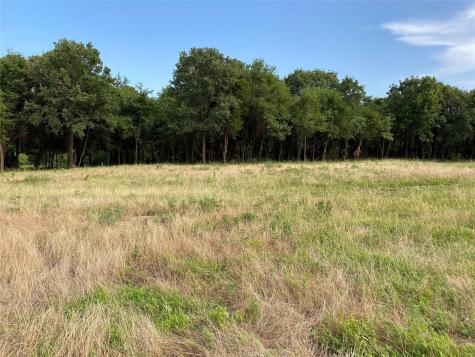Tbd E Farm To Market 455 Pilot Point TX 76258