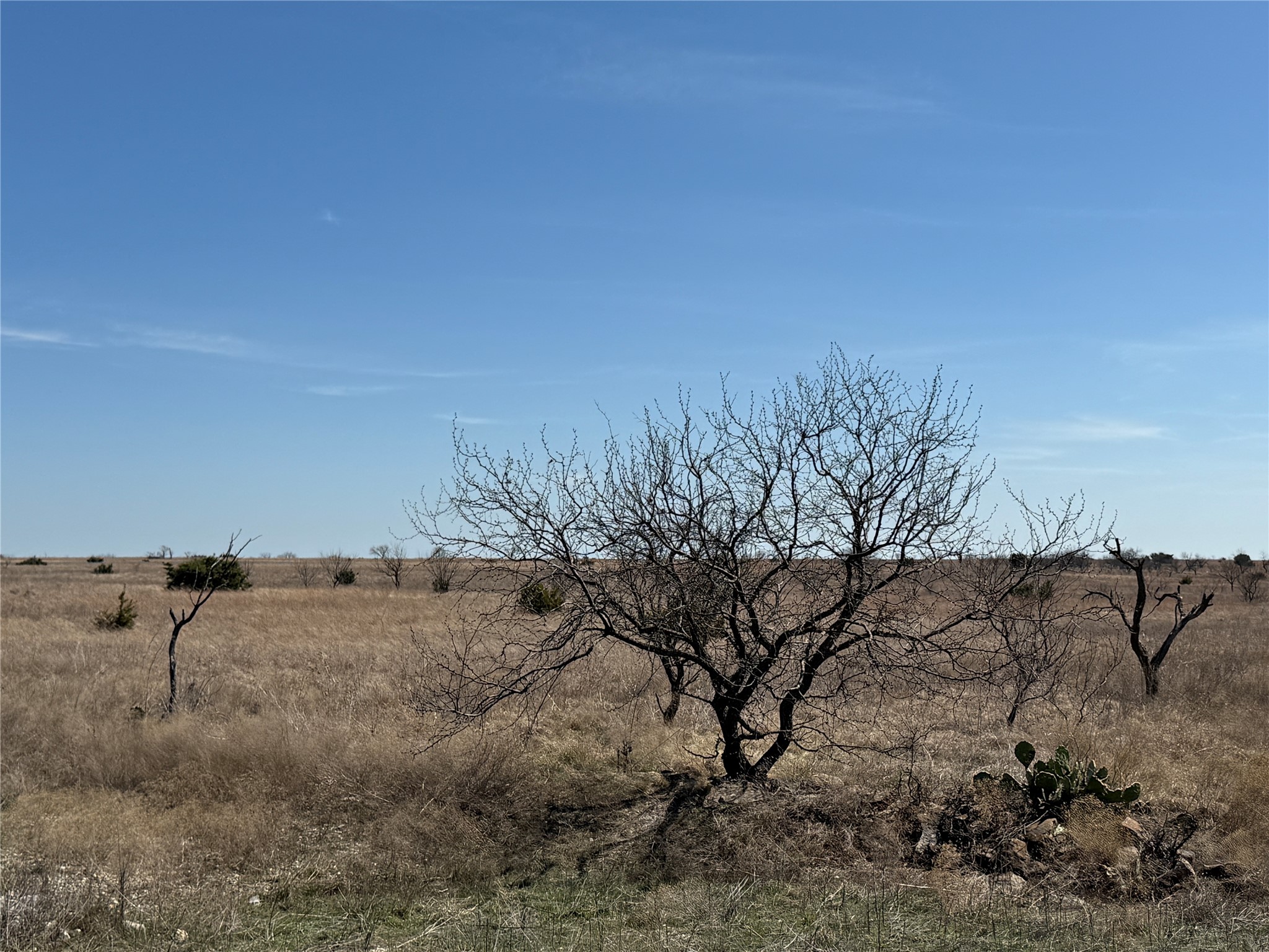 TBD3 Cr 619 Hamilton TX 76531