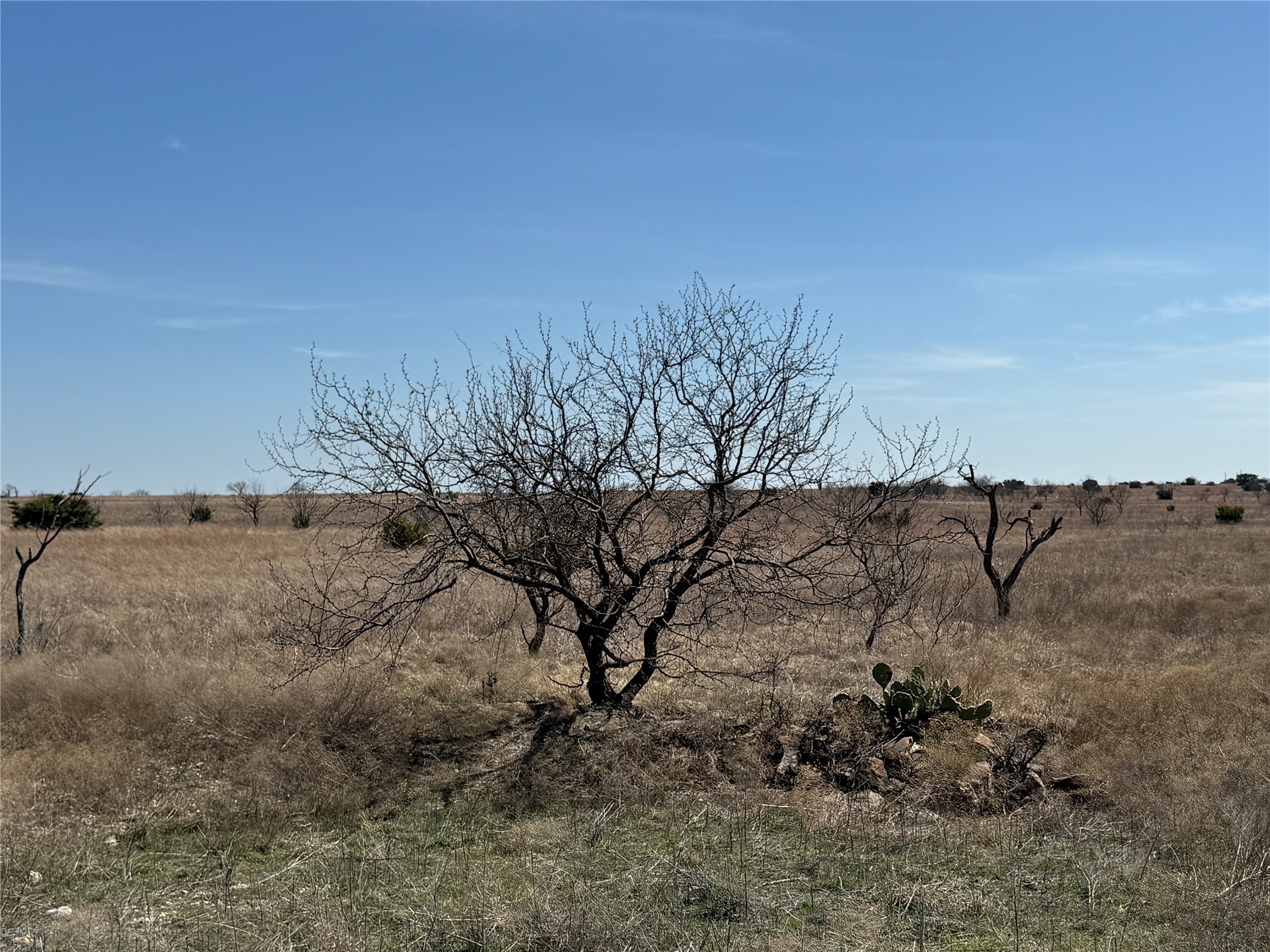 TBD3 Cr 619 Hamilton TX 76531