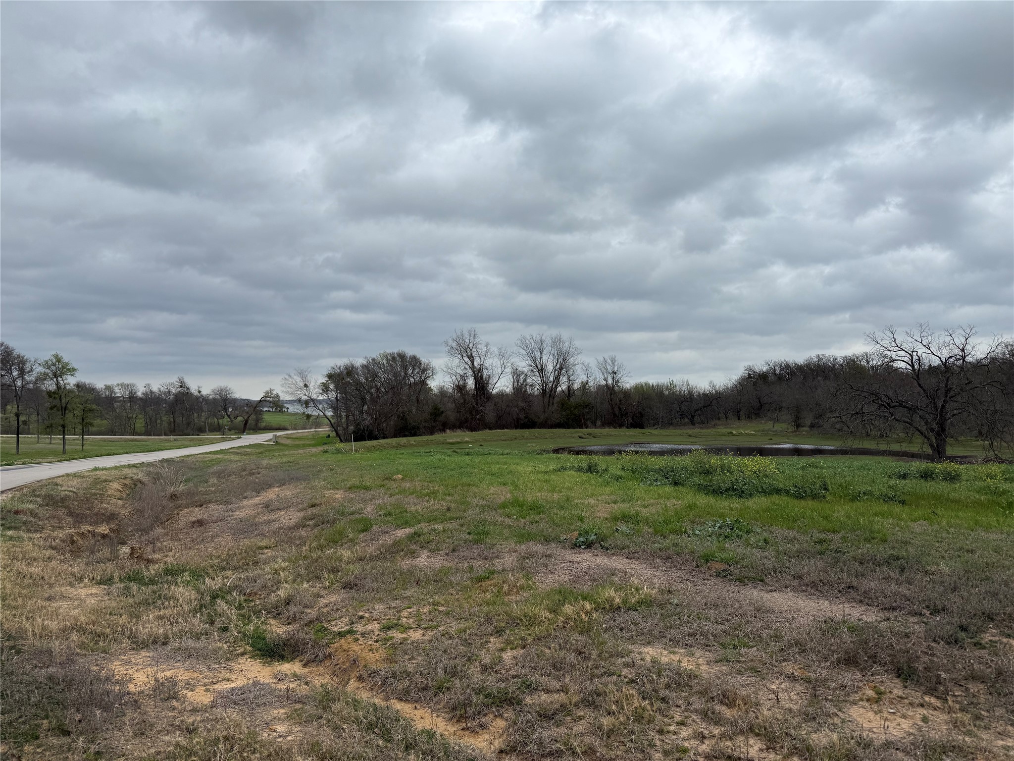 Lot 80 Diamond Point Corsicana TX 75109
