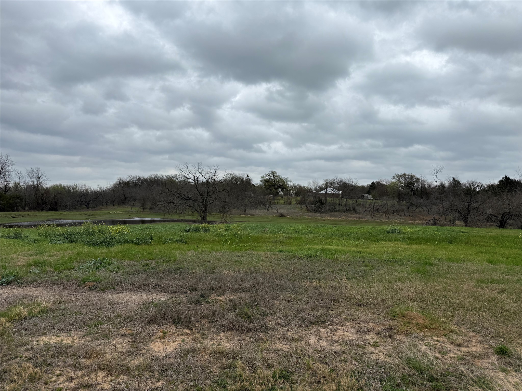 Lot 80 Diamond Point Corsicana TX 75109