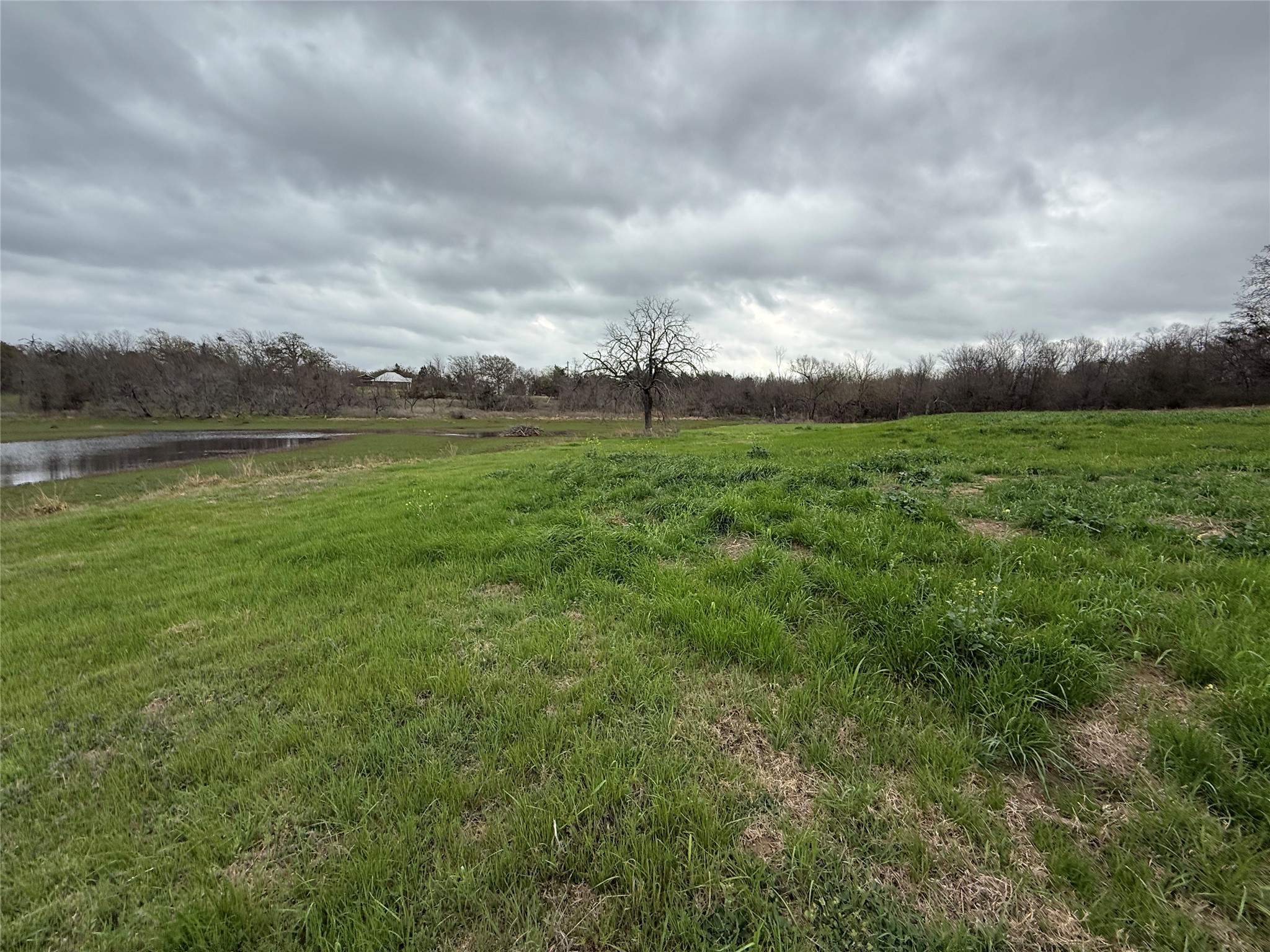 Lot 80 Diamond Point Corsicana TX 75109