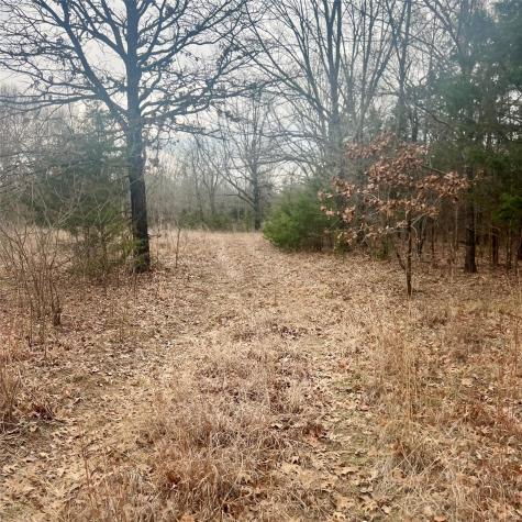 Tbd County Road 4574 Sulphur Springs TX 75482
