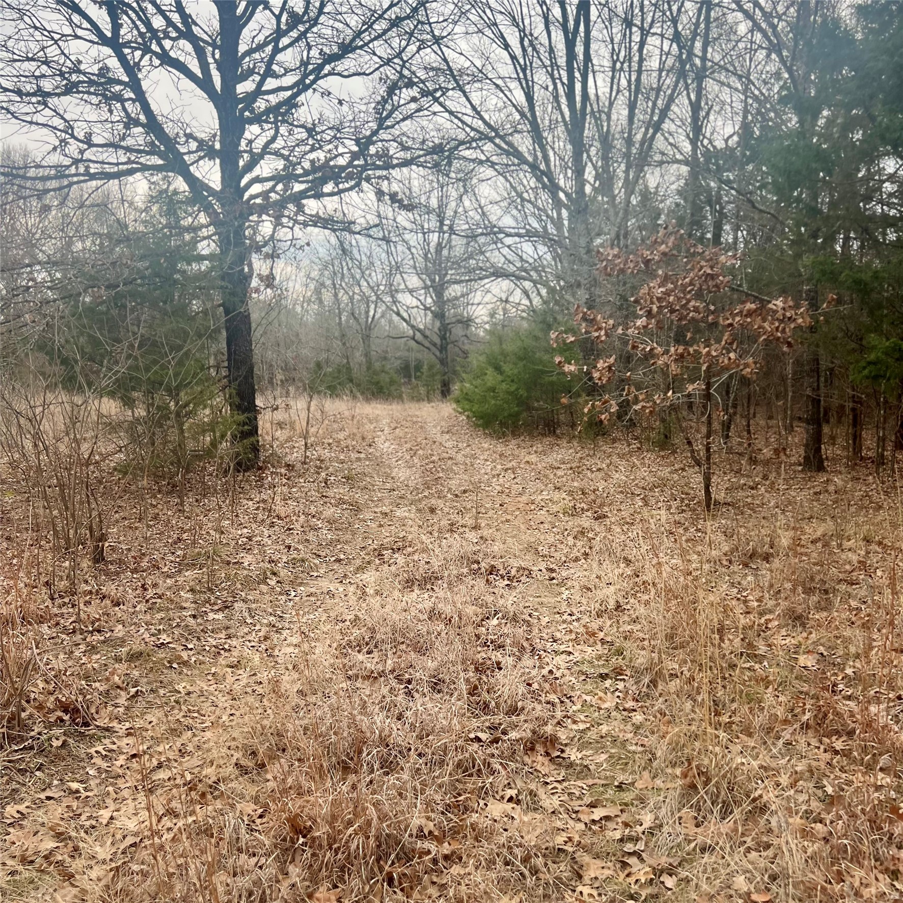 Tbd County Road 4574 Sulphur Springs TX 75482