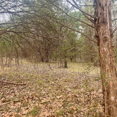 Tbd County Road 4574 Sulphur Springs TX 75482