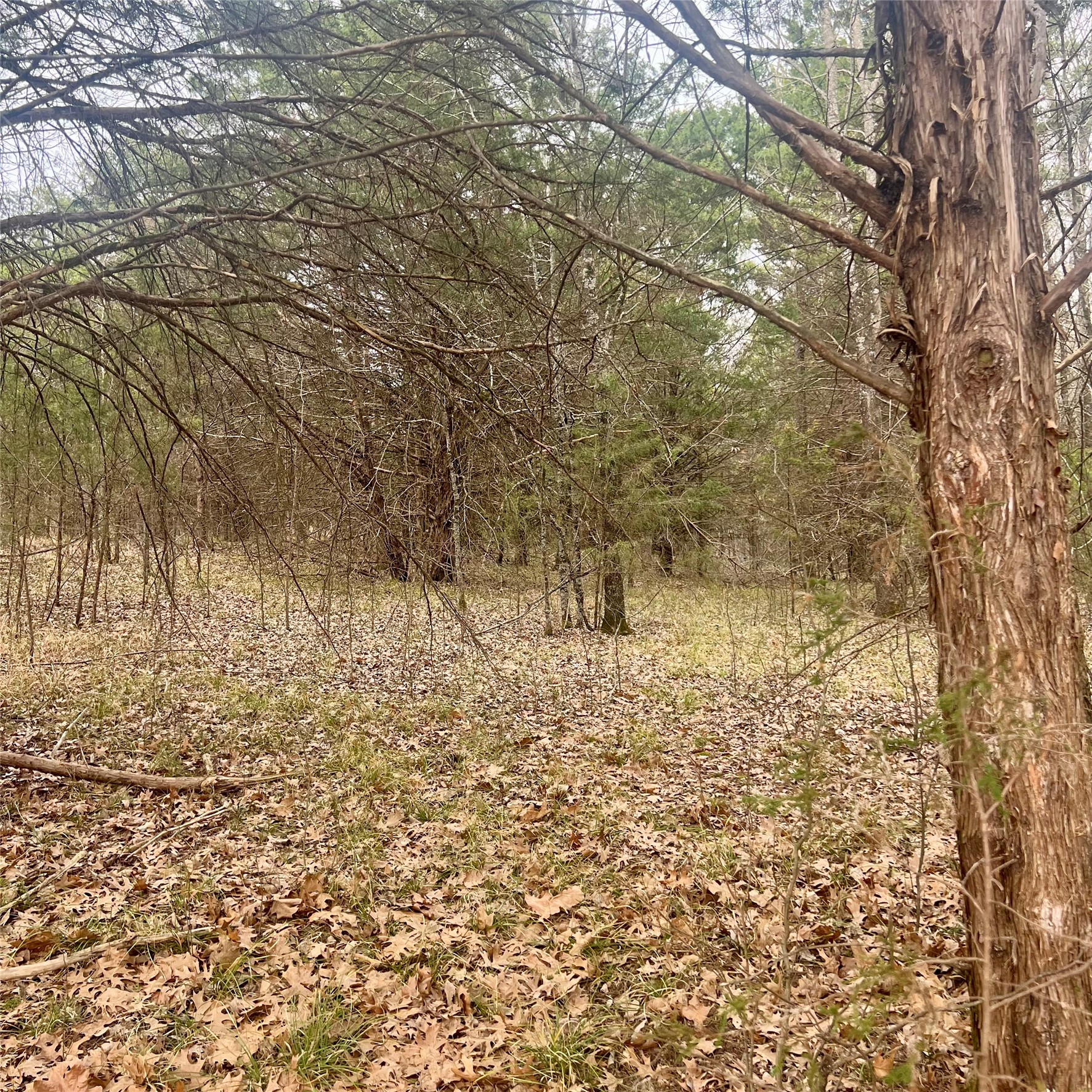 Tbd County Road 4574 Sulphur Springs TX 75482