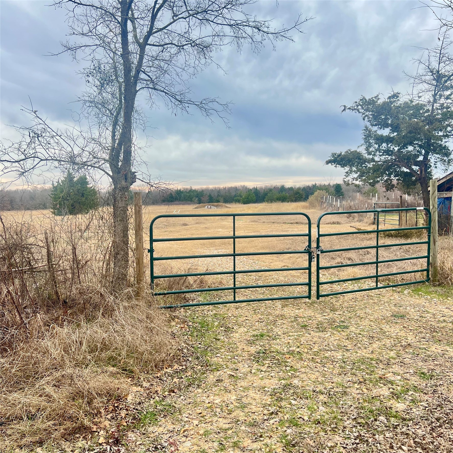 Tbd County Road 4574 Sulphur Springs TX 75482