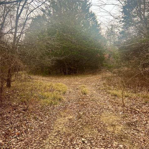 Tbd County Road 4574 Sulphur Springs TX 75482