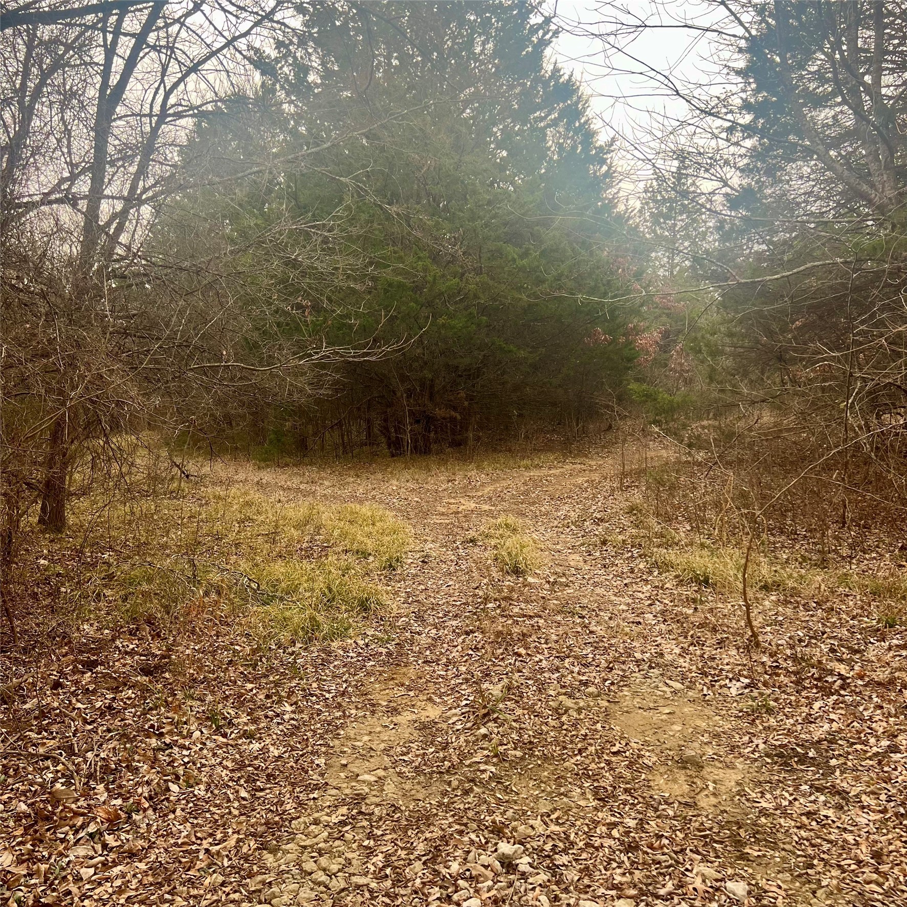 Tbd County Road 4574 Sulphur Springs TX 75482