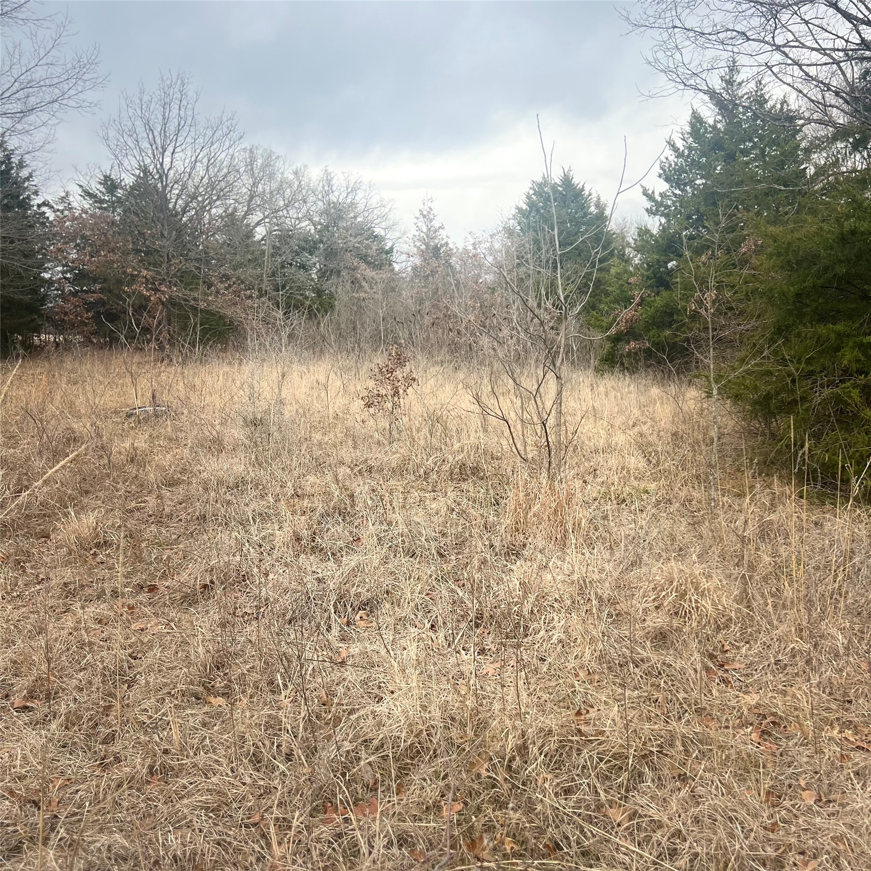Tbd County Road 4574 Sulphur Springs TX 75482