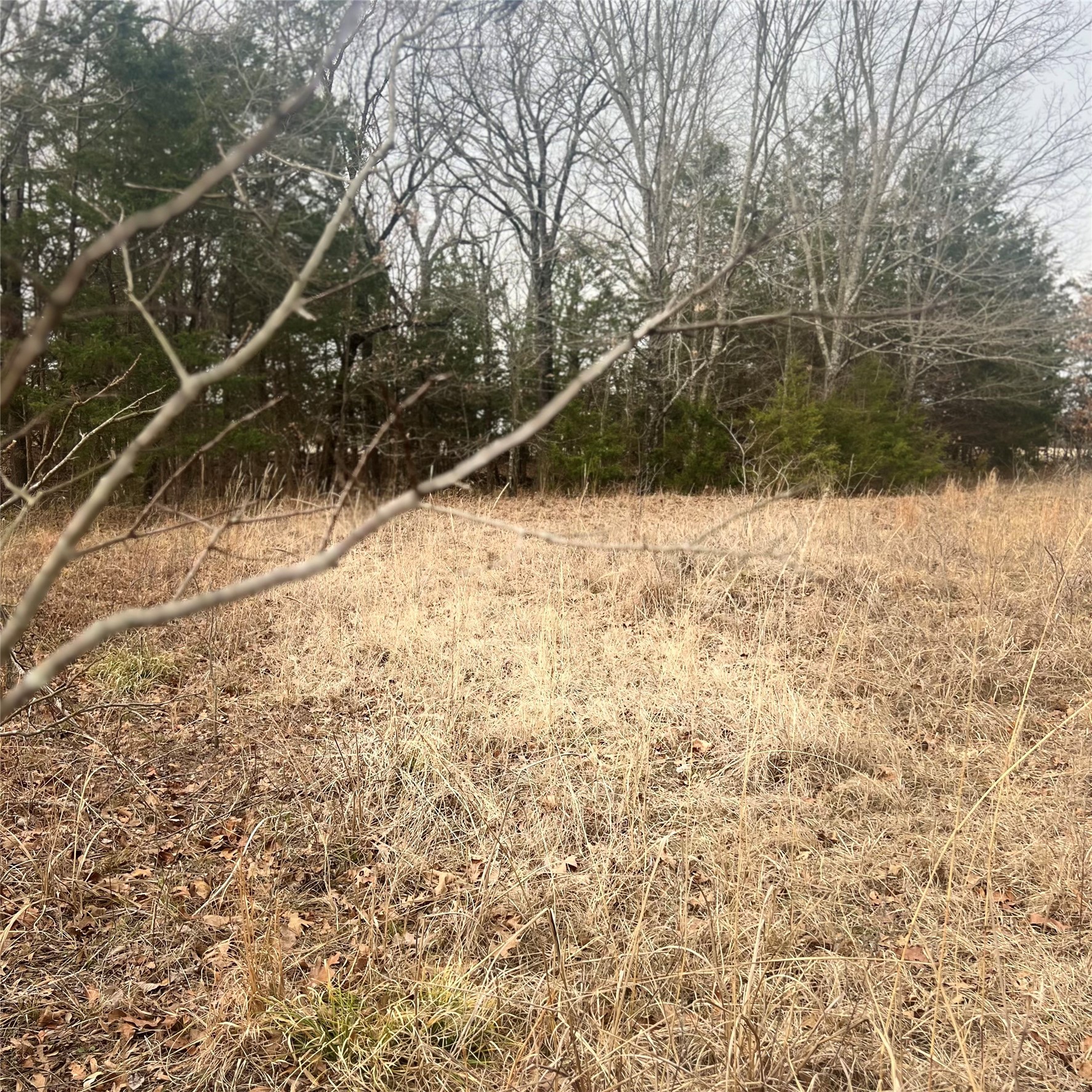 Tbd County Road 4574 Sulphur Springs TX 75482