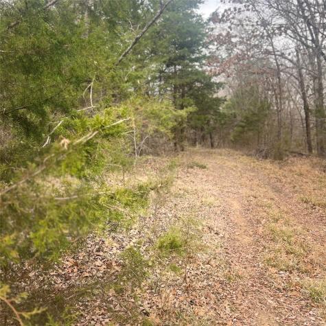 Tbd County Road 4574 Sulphur Springs TX 75482