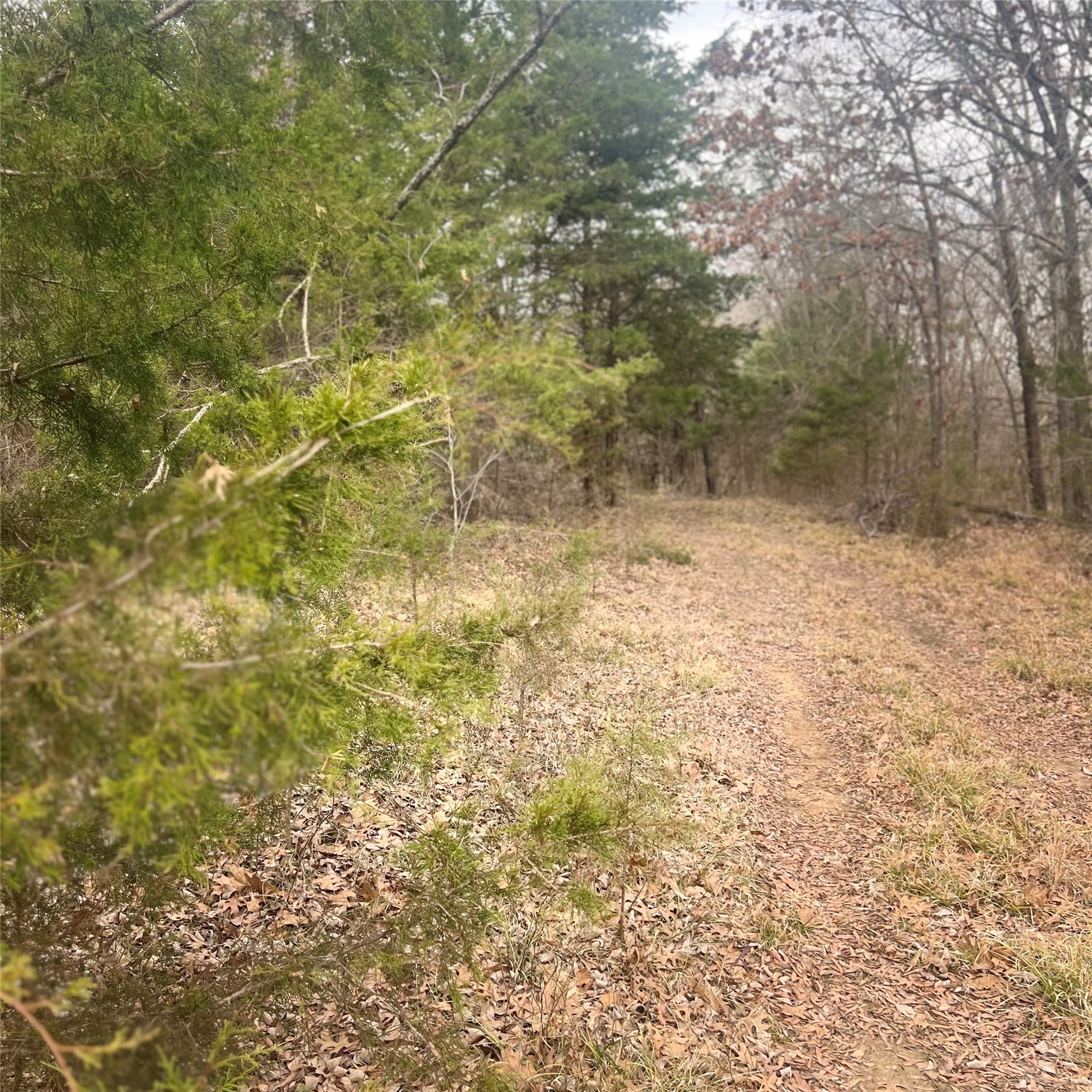 Tbd County Road 4574 Sulphur Springs TX 75482
