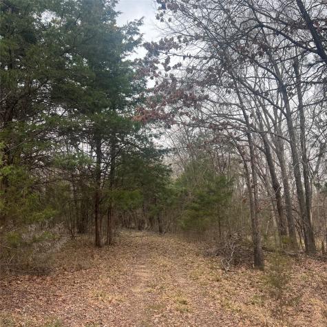 Tbd County Road 4574 Sulphur Springs TX 75482
