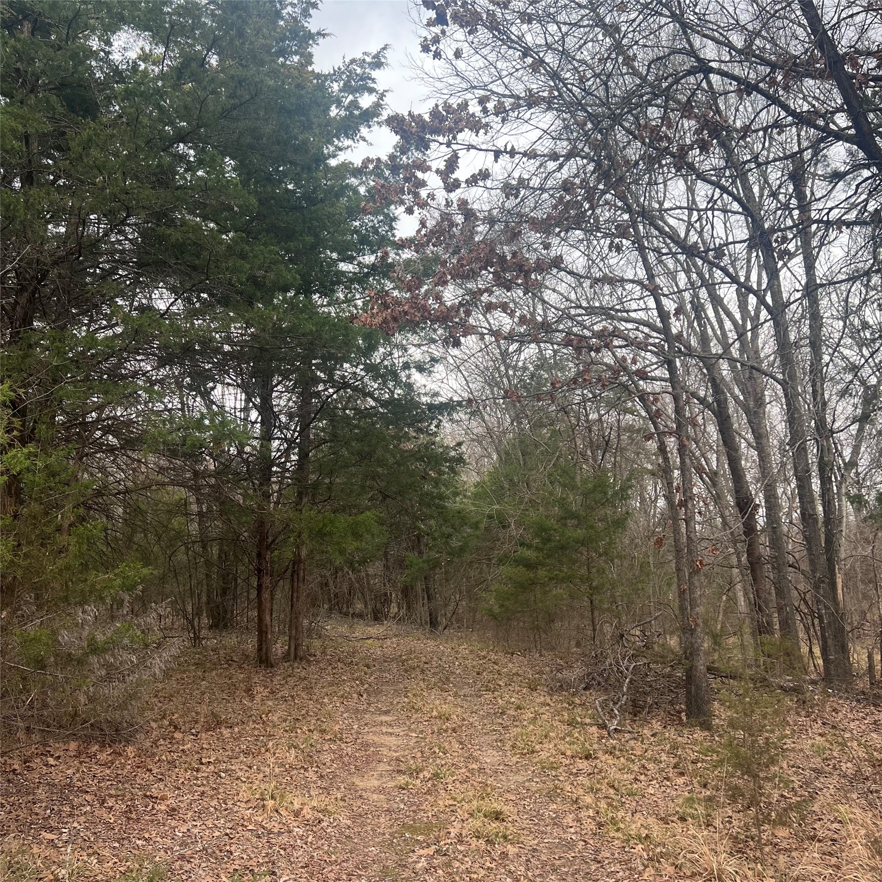 Tbd County Road 4574 Sulphur Springs TX 75482