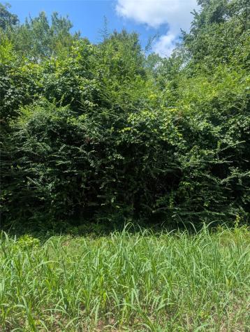 0 County Road 3419 Hawkins TX 75765