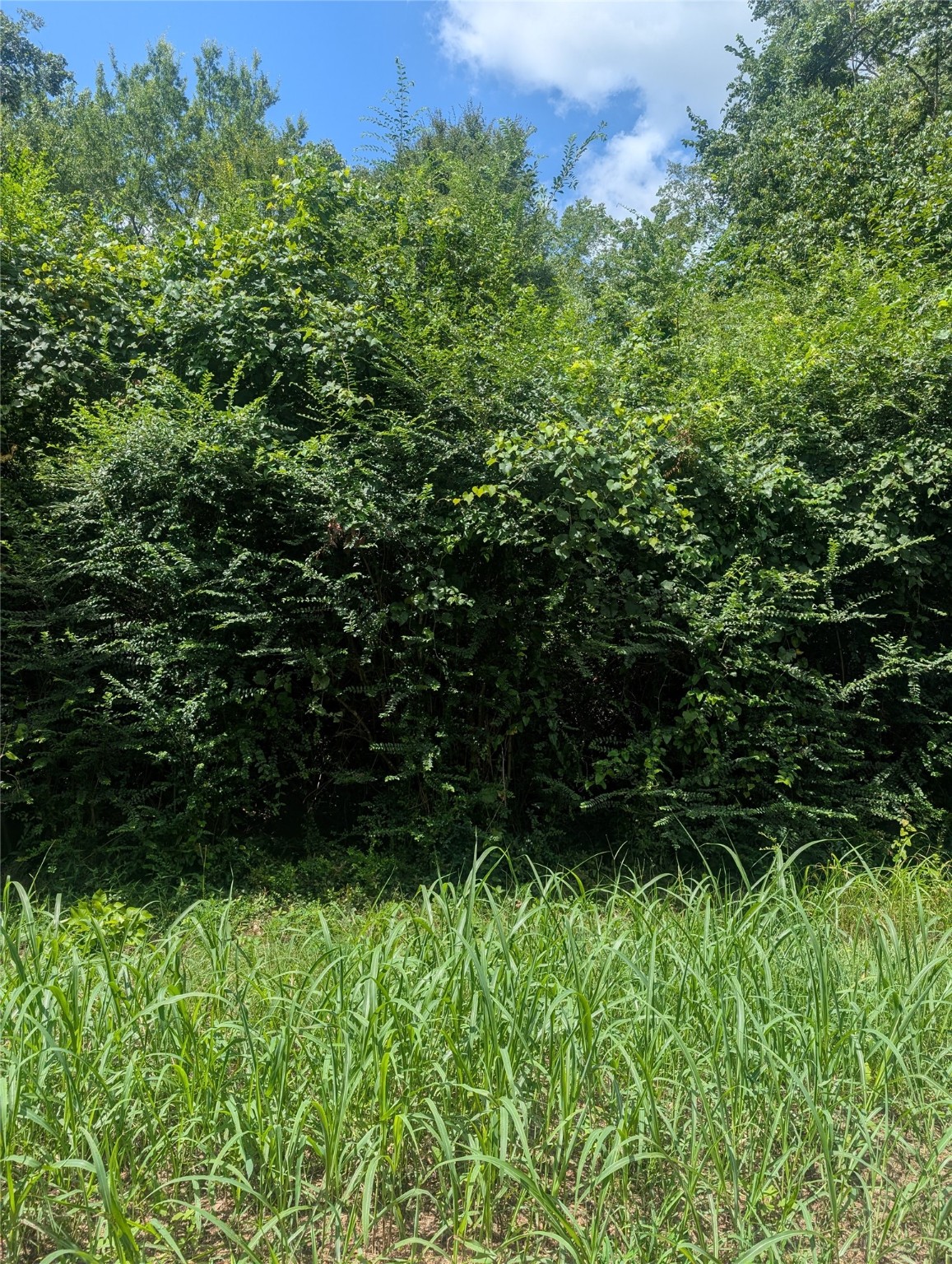0 County Road 3419 Hawkins TX 75765