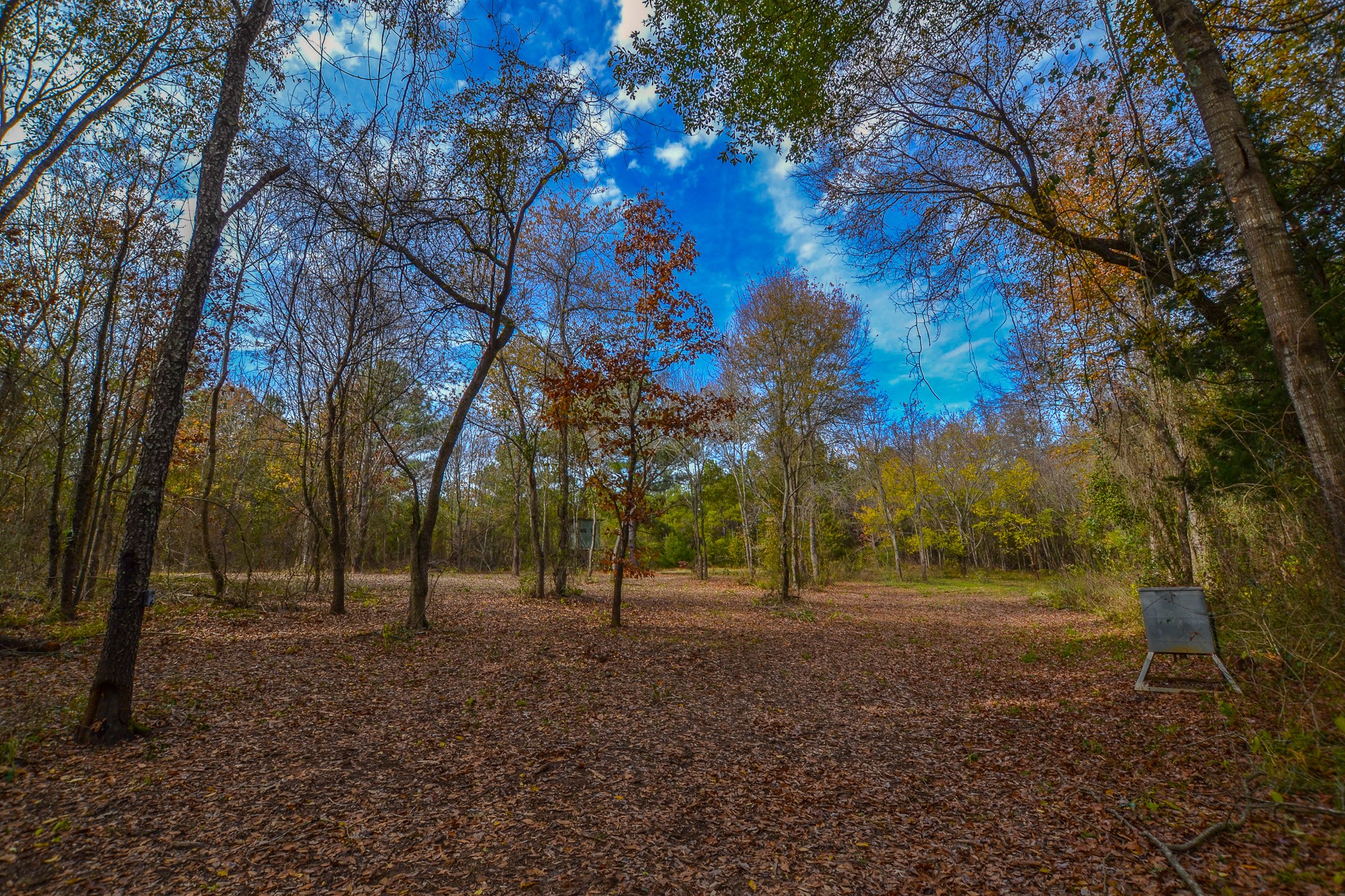 0 Cr 4960 Quitman TX 75783