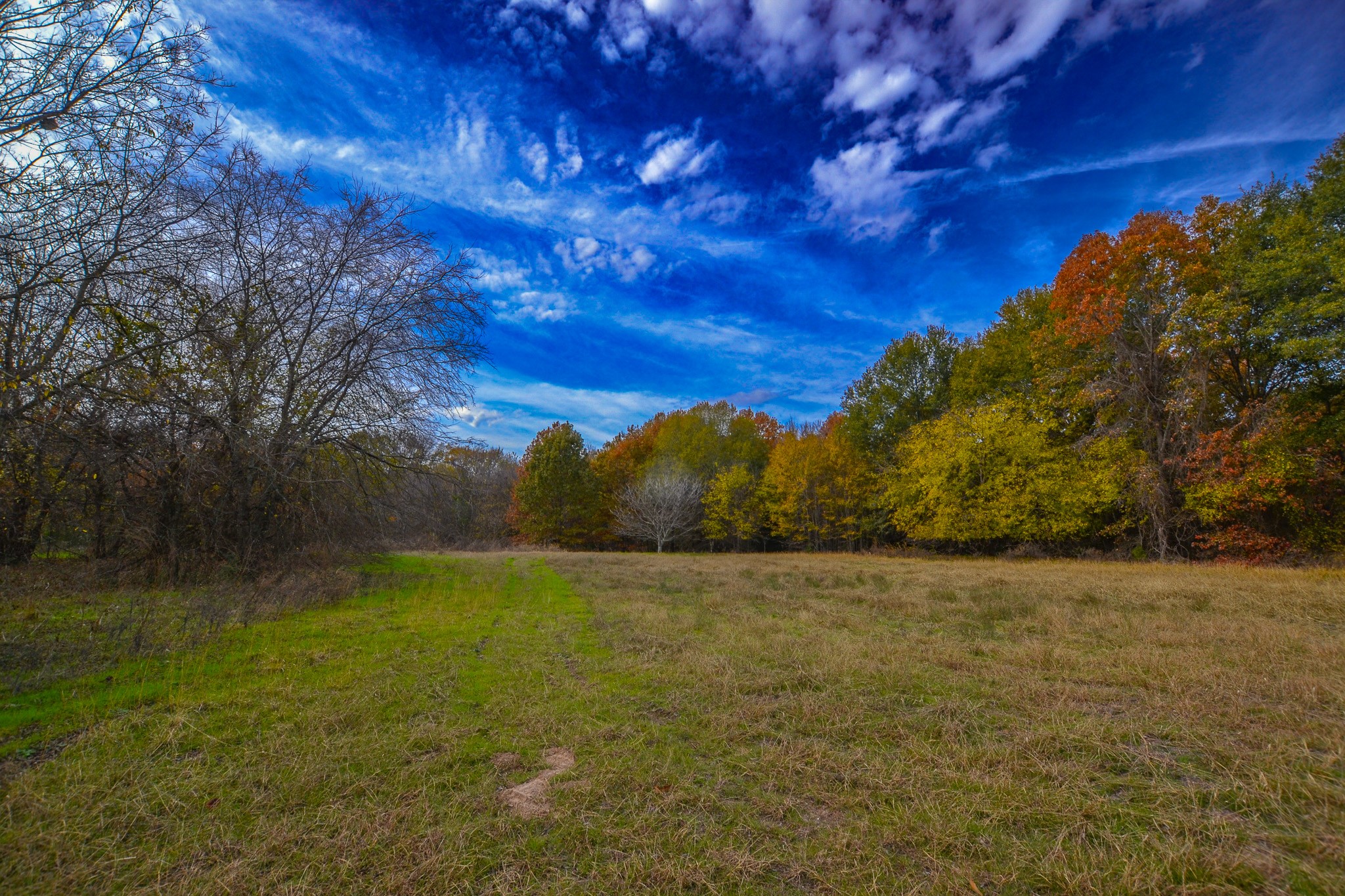 0 Cr 4960 Quitman TX 75783