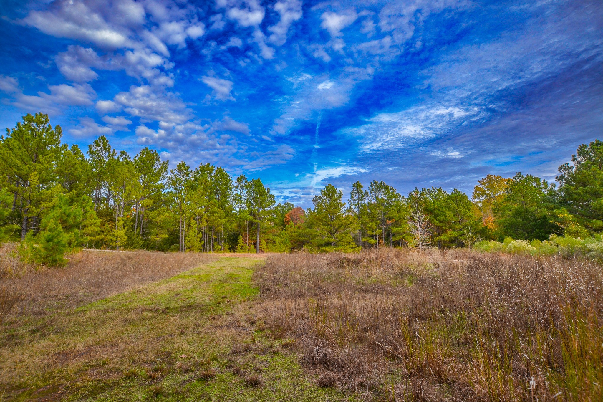 0 Cr 4960 Quitman TX 75783