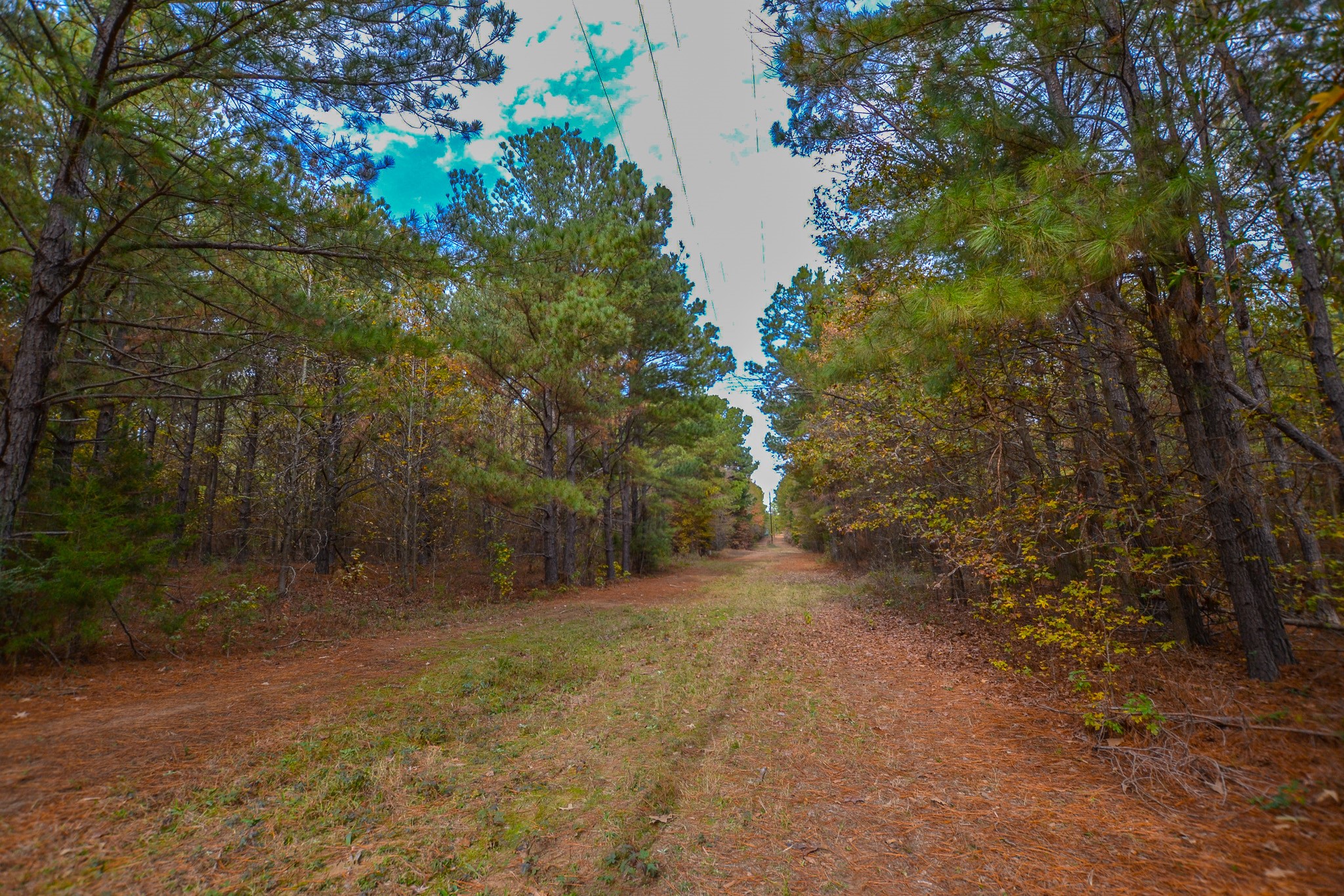 0 Cr 4960 Quitman TX 75783
