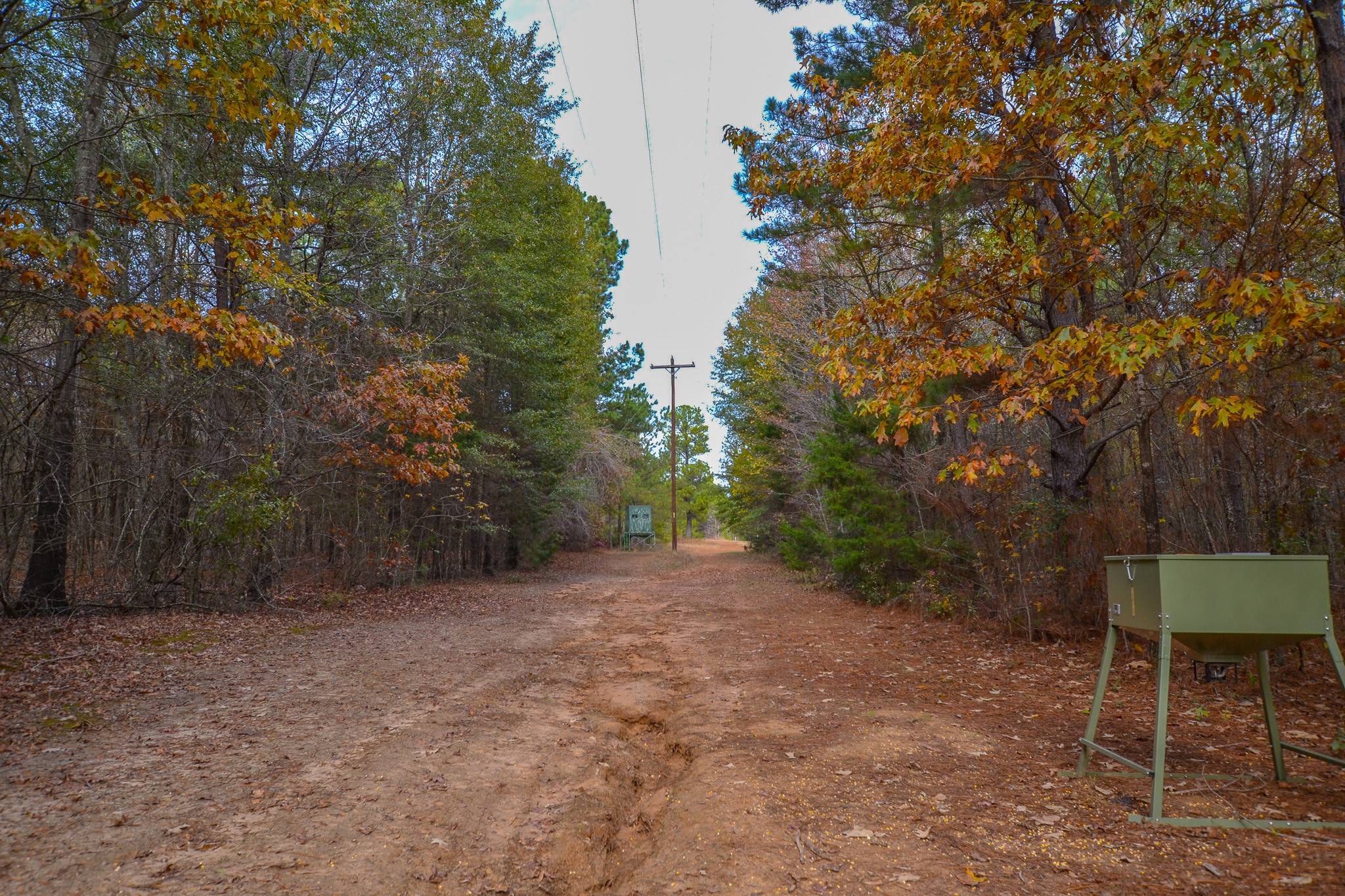 0 Cr 4960 Quitman TX 75783