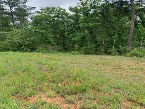 000 County Road 1113 Tyler TX 75703