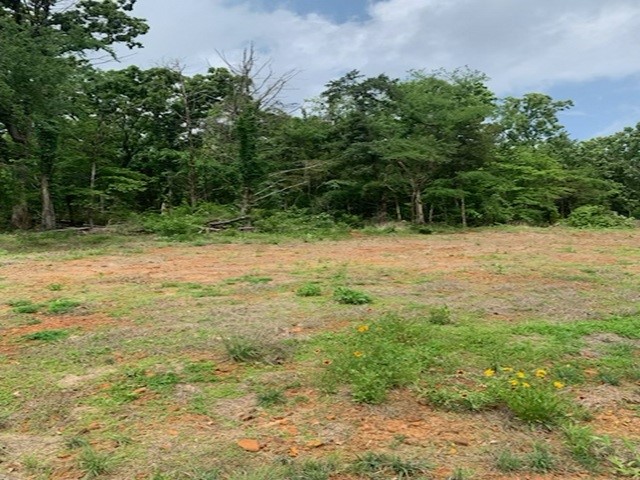000 County Road 1113 Tyler TX 75703