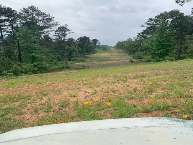 000 County Road 1113 Tyler TX 75703