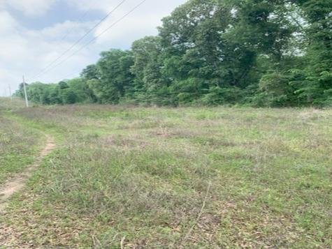 000 County Road 1113 Tyler TX 75703