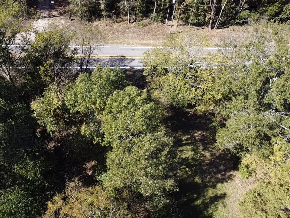 Tbd Fm 1799 Alba TX 75410