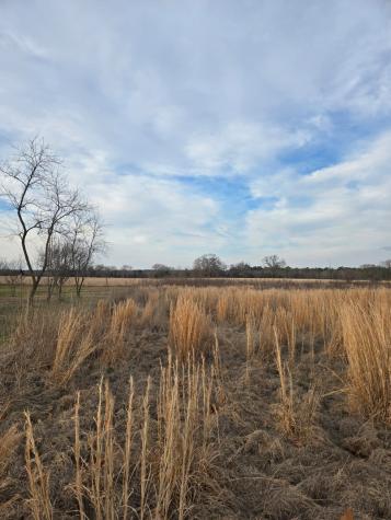 Tbd Cr 4836 0.50 Winnsboro TX 75494