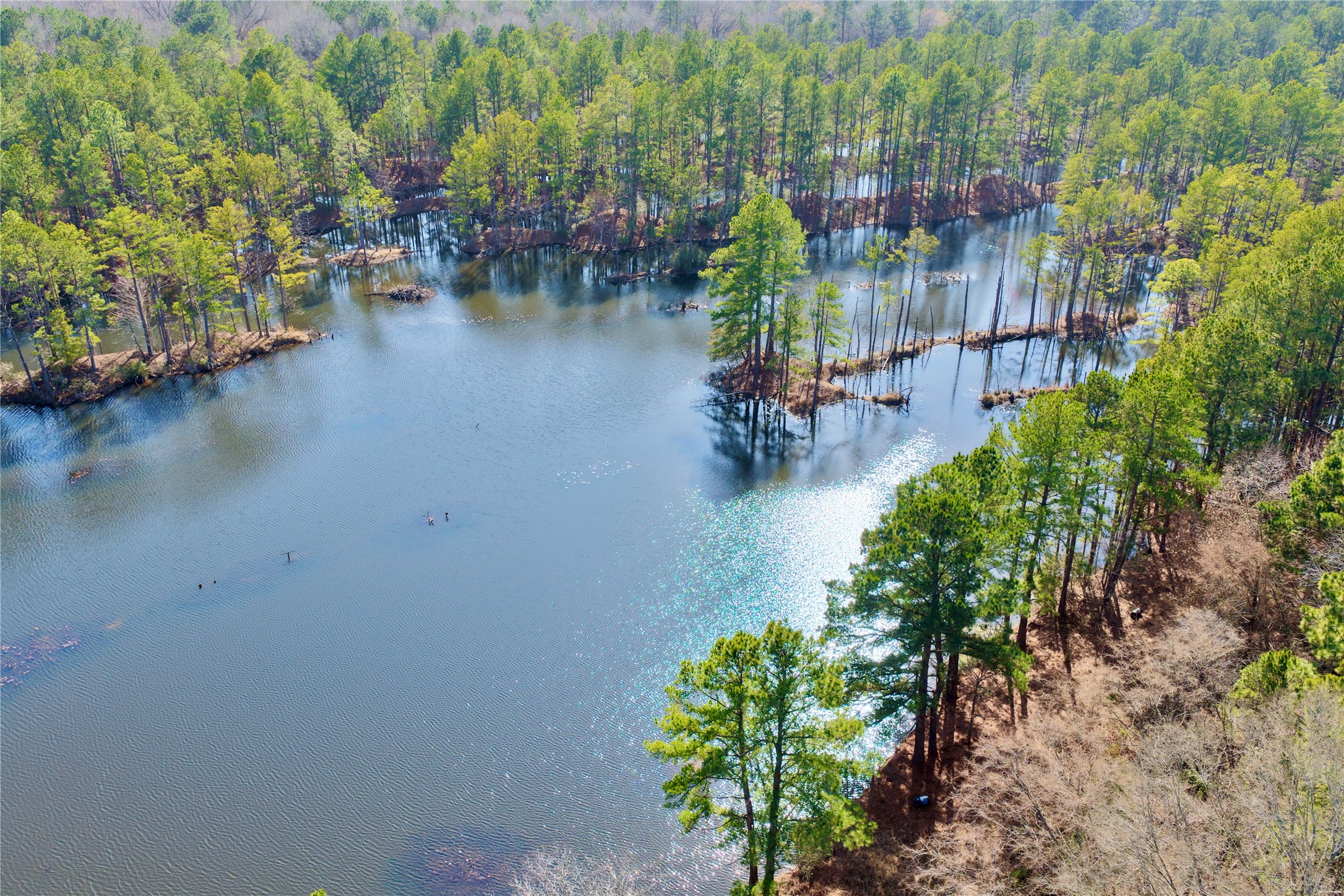 0000 Stateline Road Texarkana TX 75501