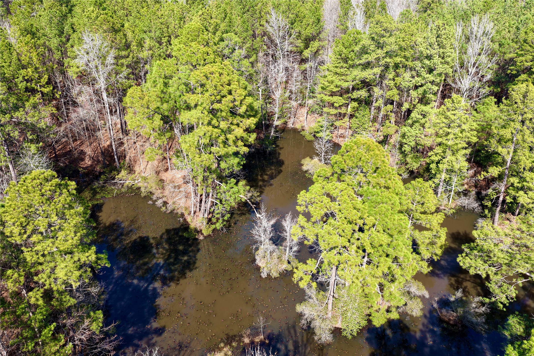 0000 Stateline Road Texarkana TX 75501