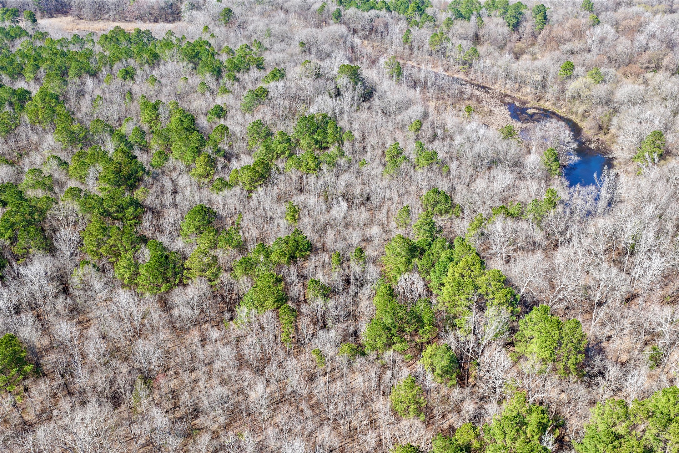 0000 Stateline Road Texarkana TX 75501