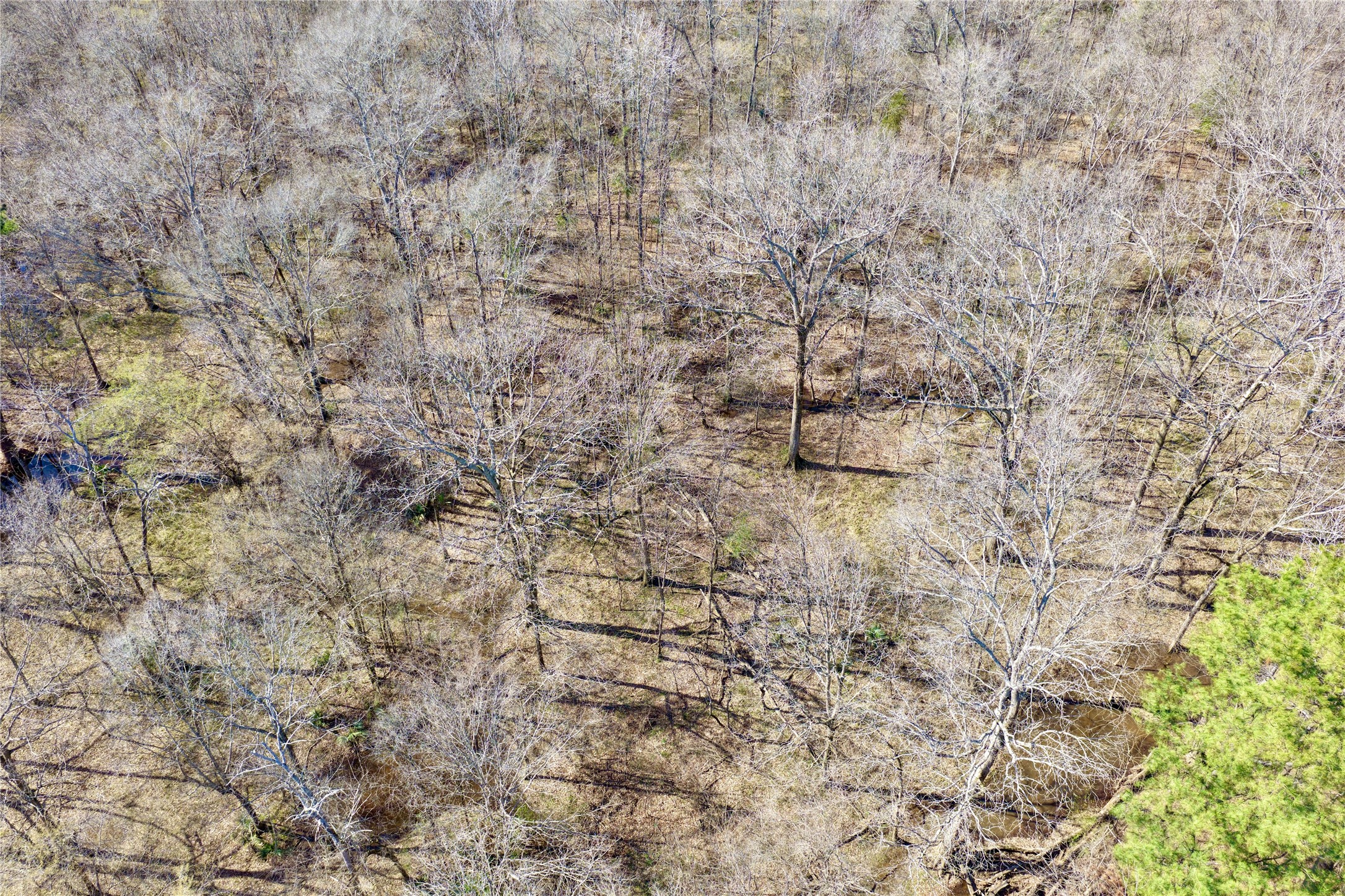 0000 Stateline Road Texarkana TX 75501