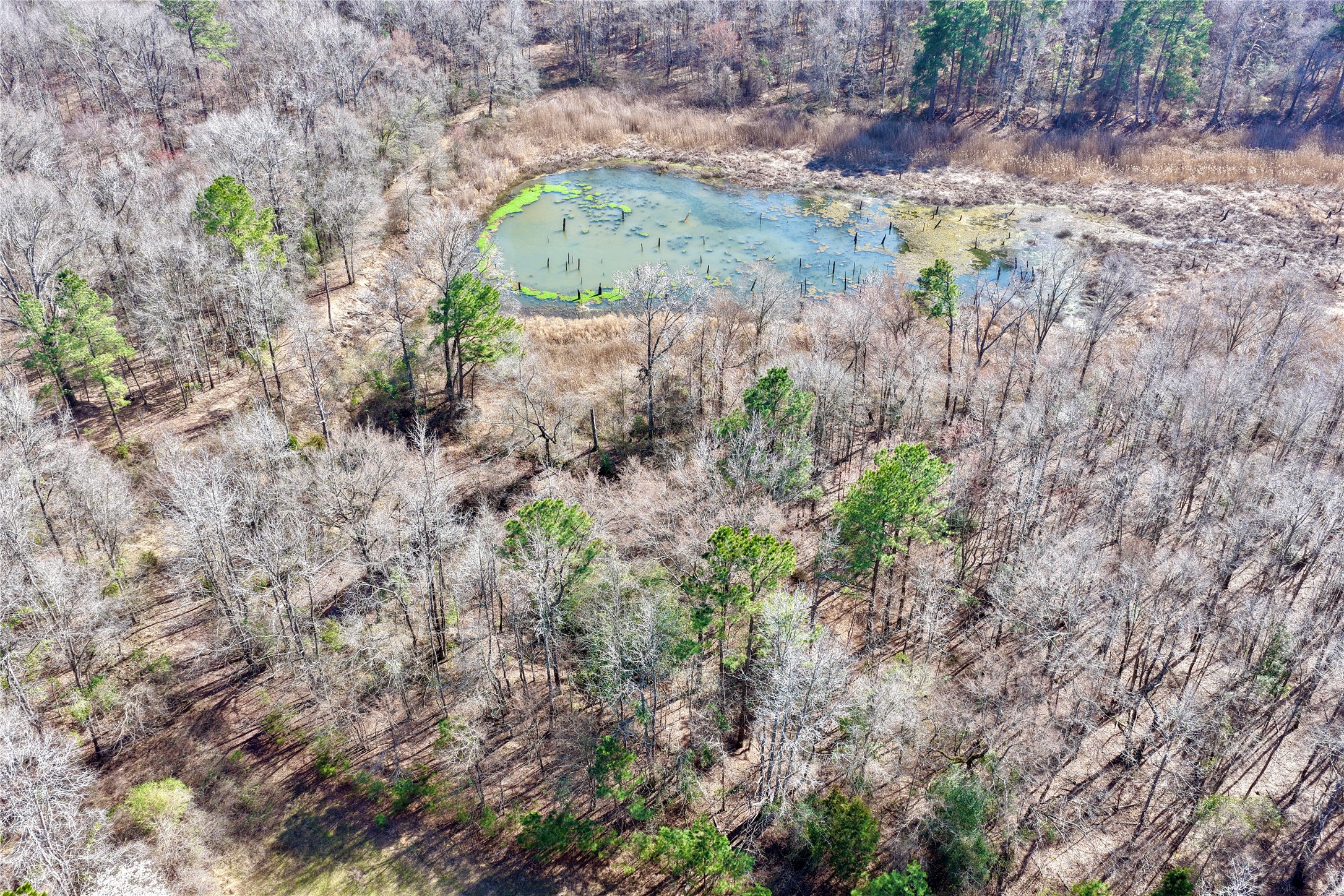 0000 Stateline Road Texarkana TX 75501