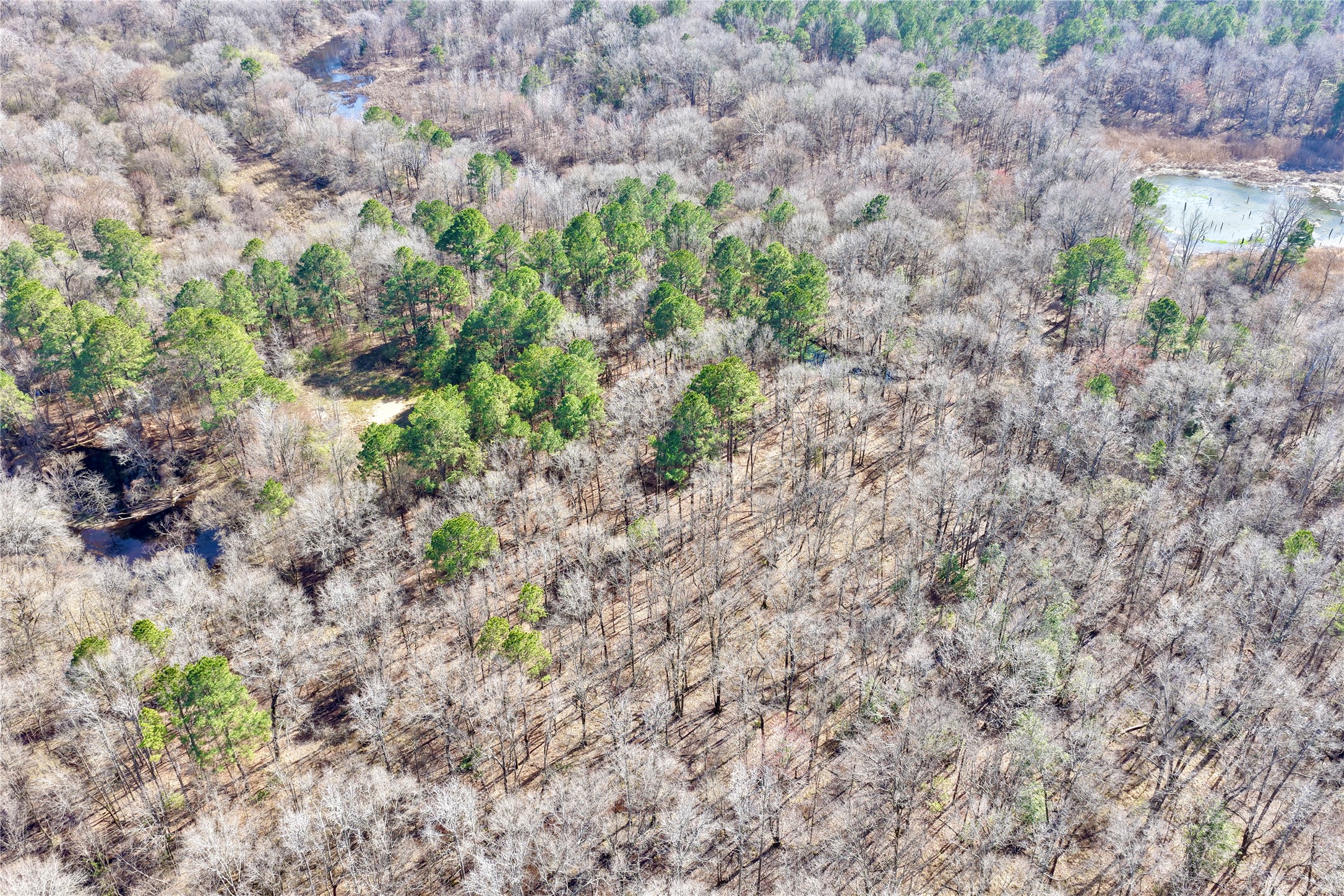 0000 Stateline Road Texarkana TX 75501