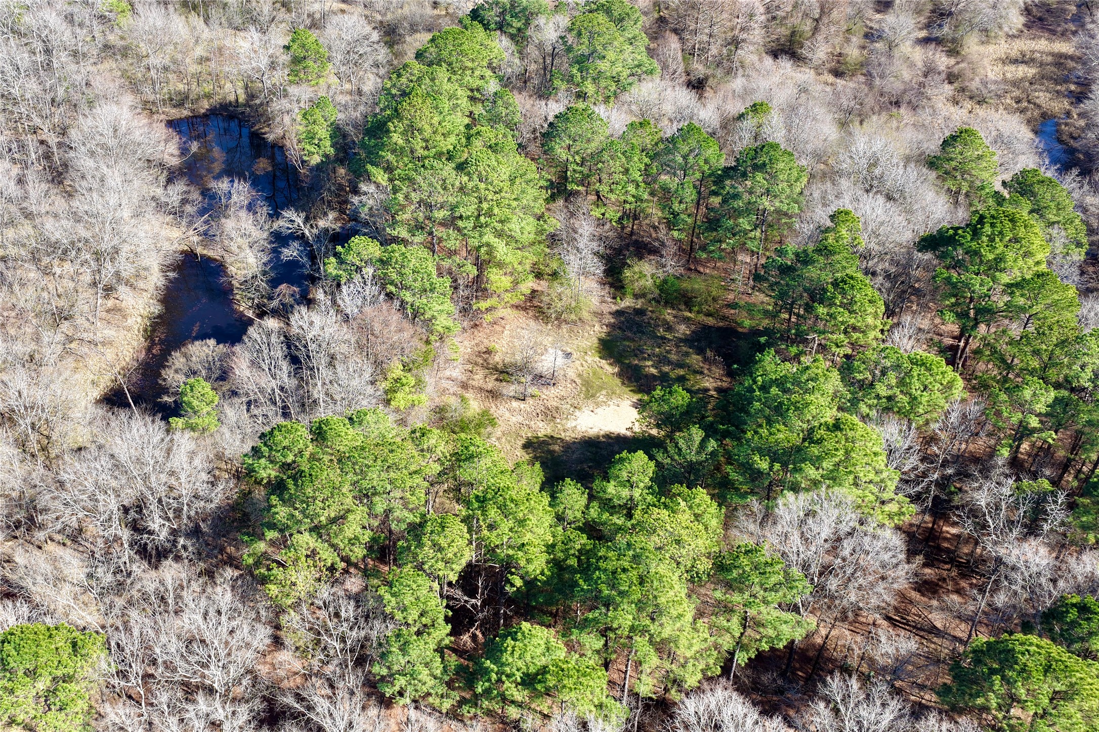 0000 Stateline Road Texarkana TX 75501