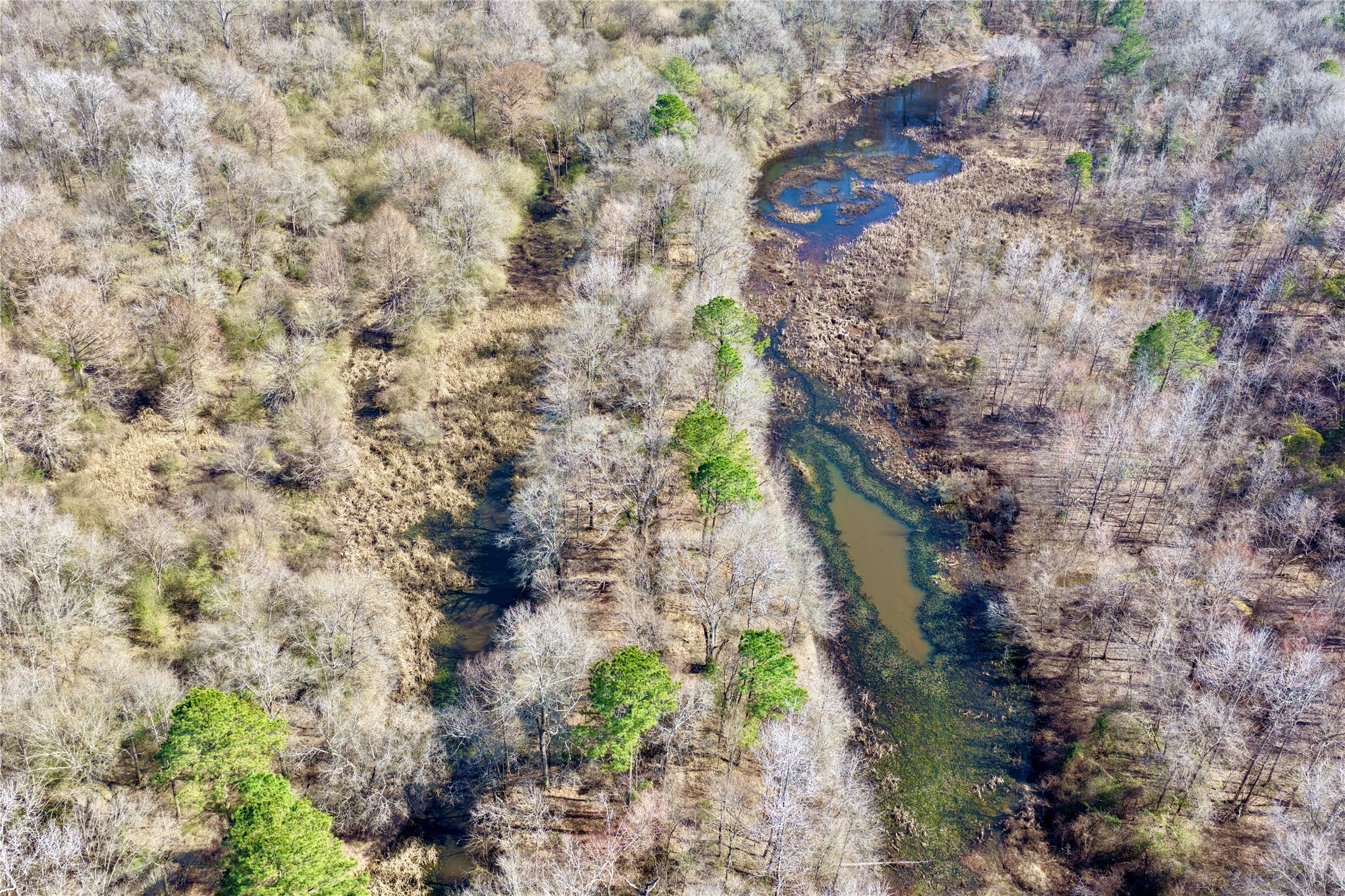 0000 Stateline Road Texarkana TX 75501