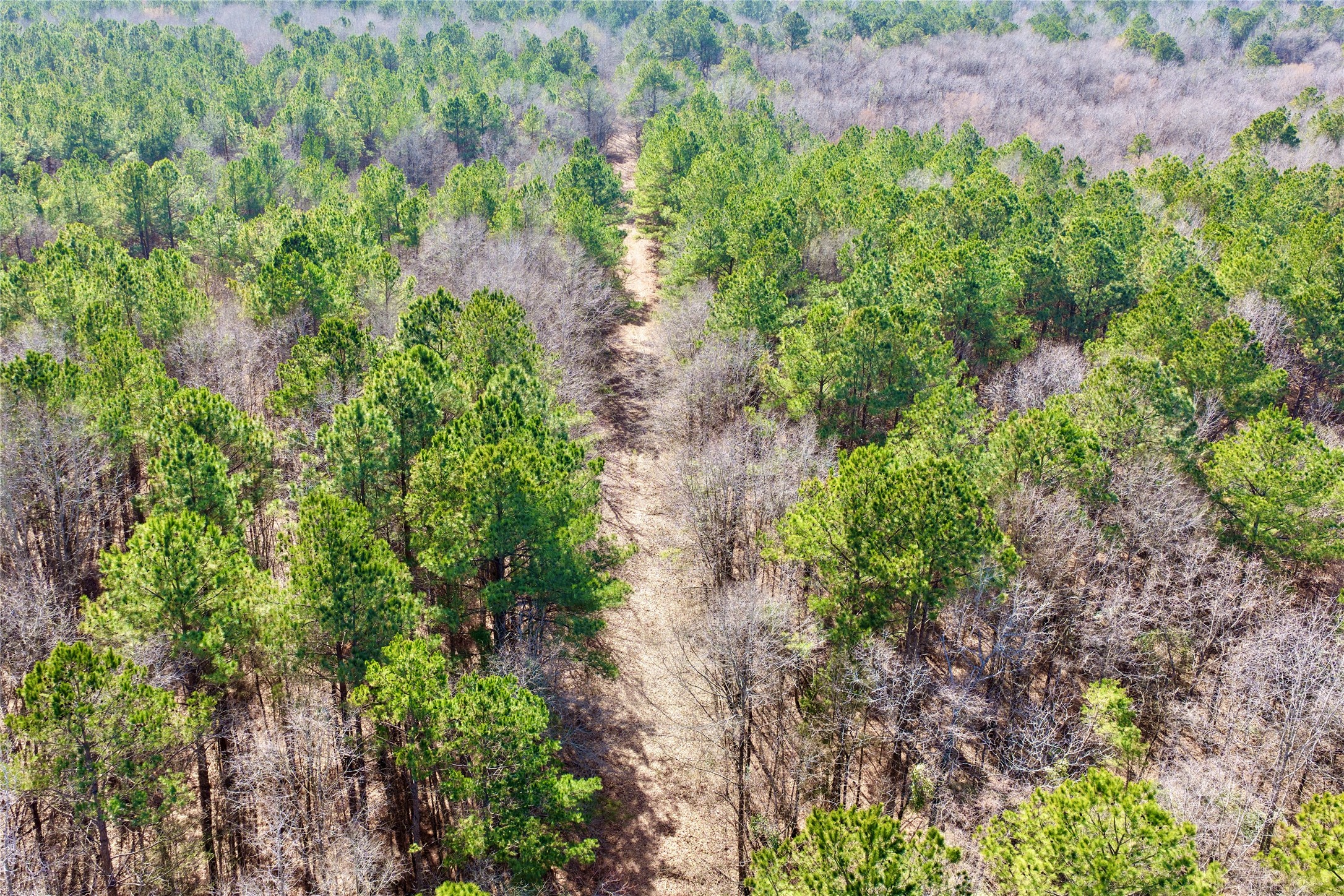 0000 Stateline Road Texarkana TX 75501